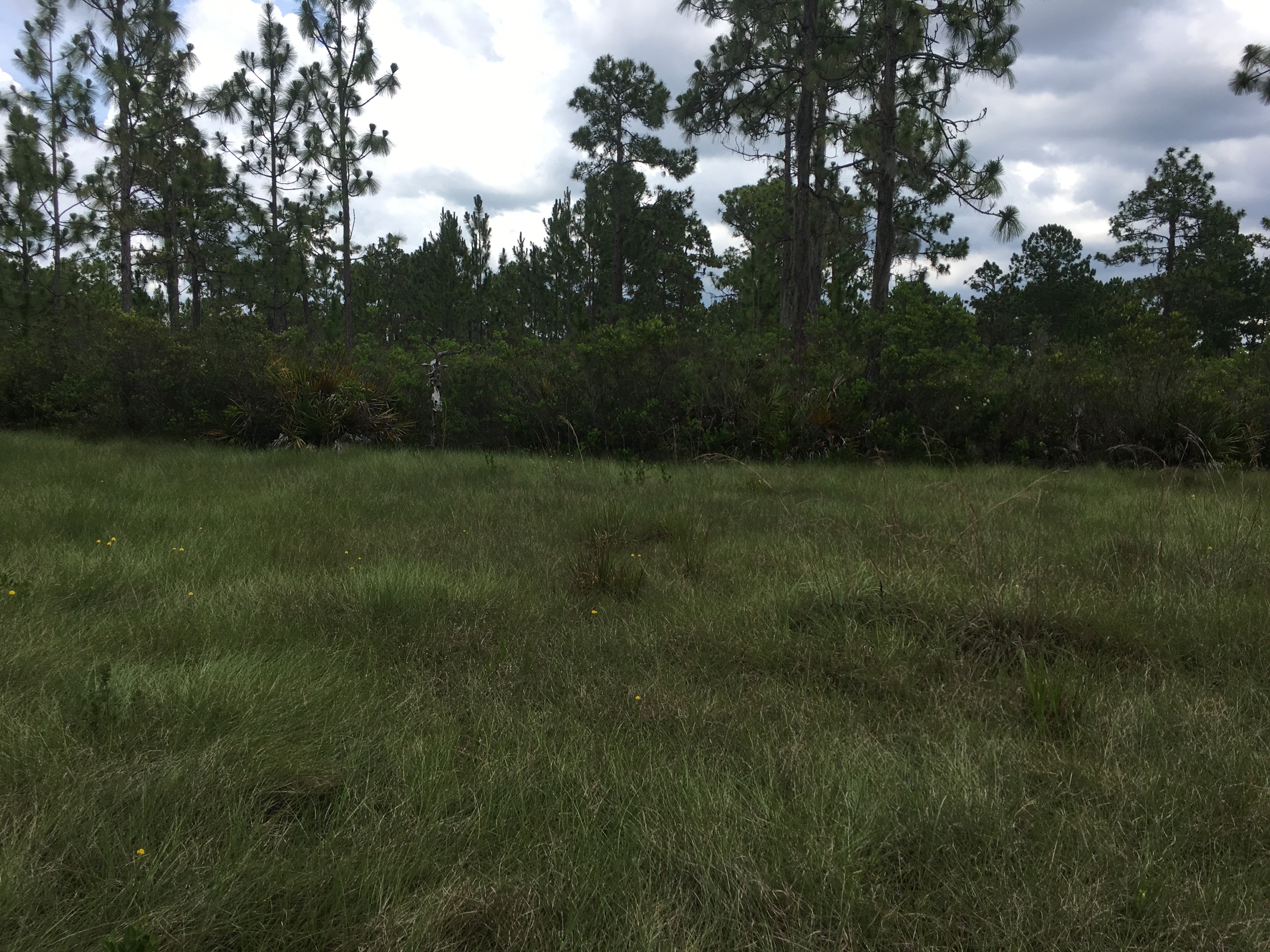 River Ranch Acres RRPOA Camp lot for sale campsite Florida