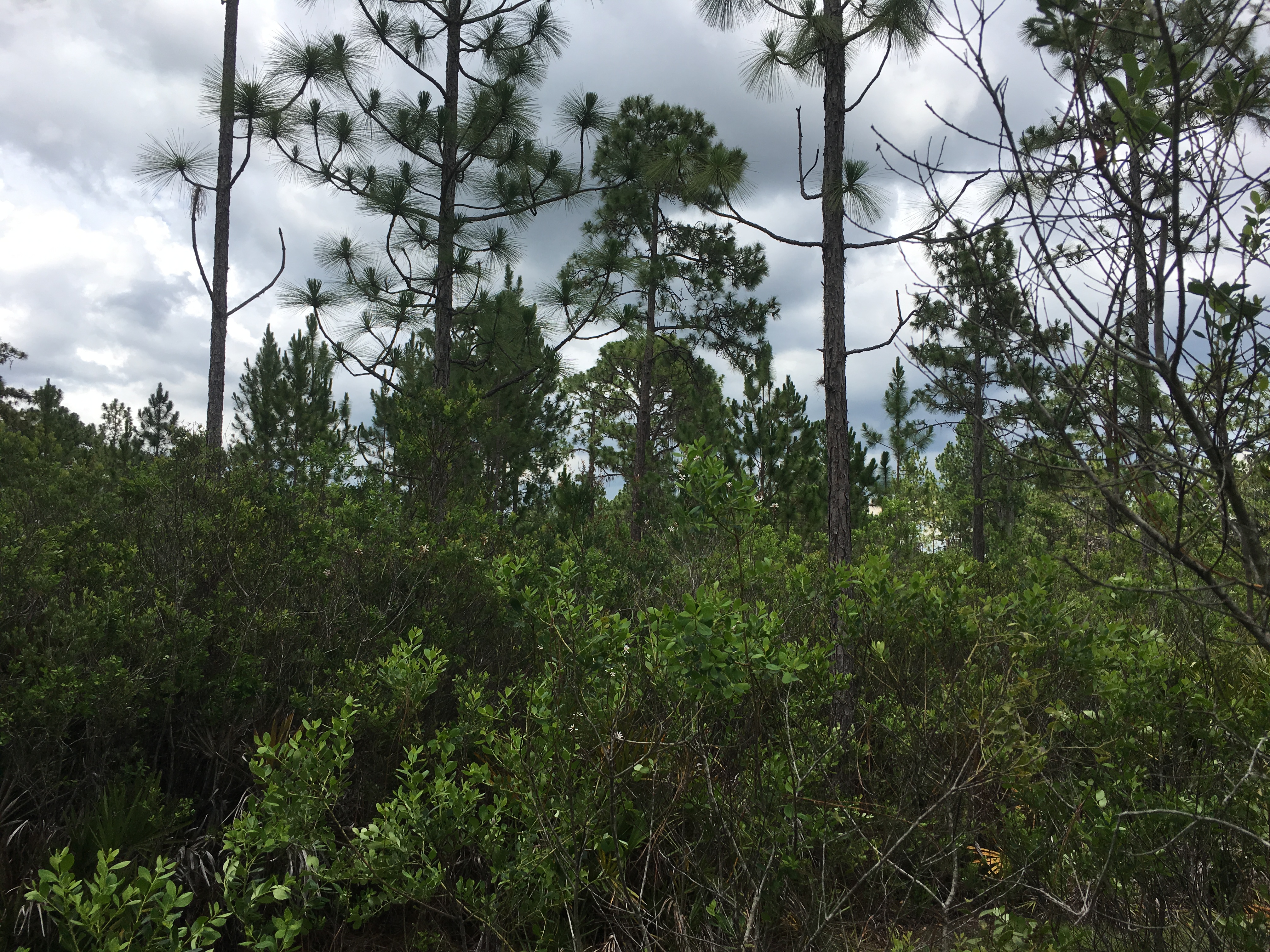 River Ranch Acres RRPOA Camp lot for sale campsite Florida