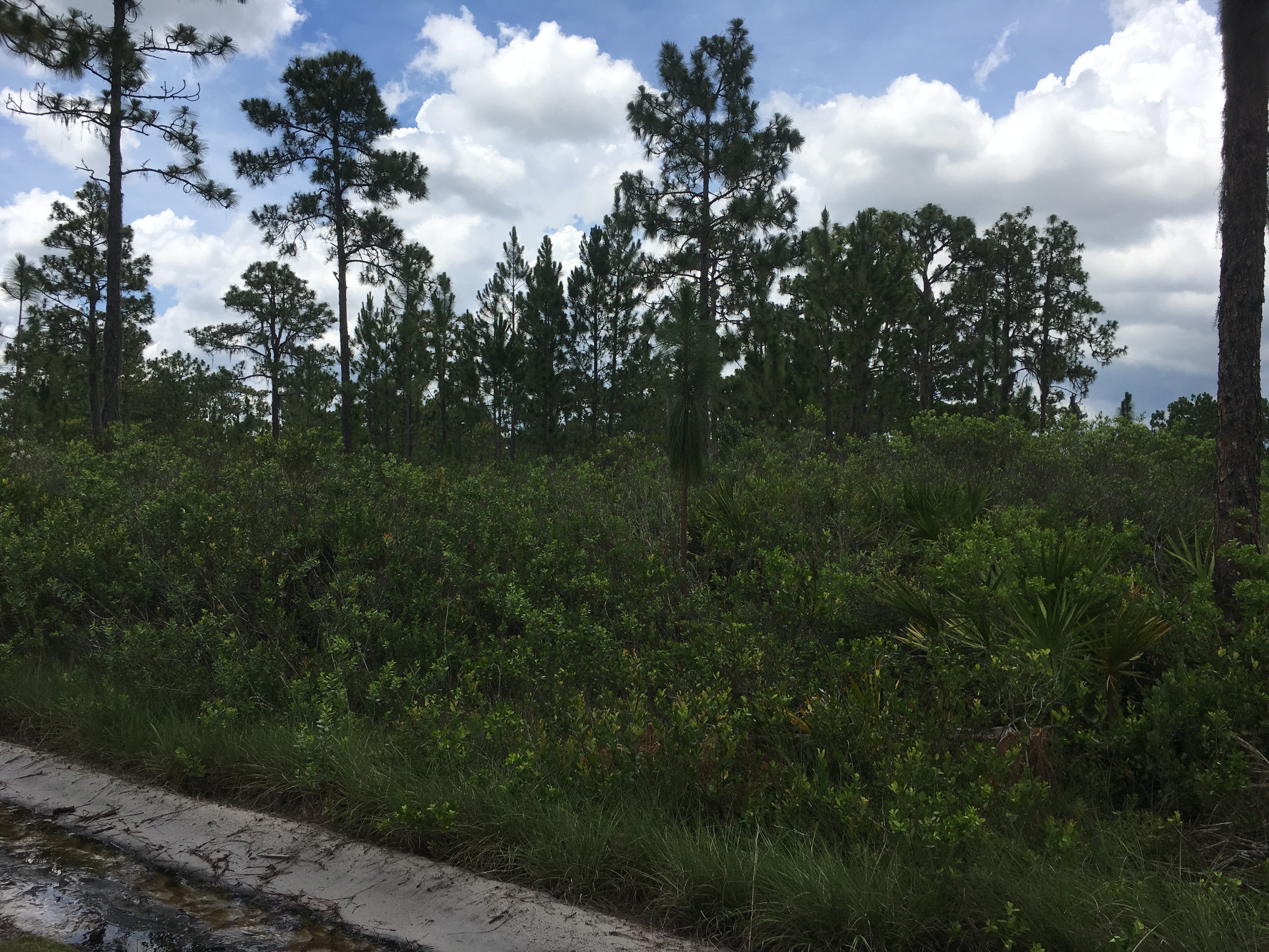 River Ranch Acres RRPOA Camp lot for sale campsite Florida