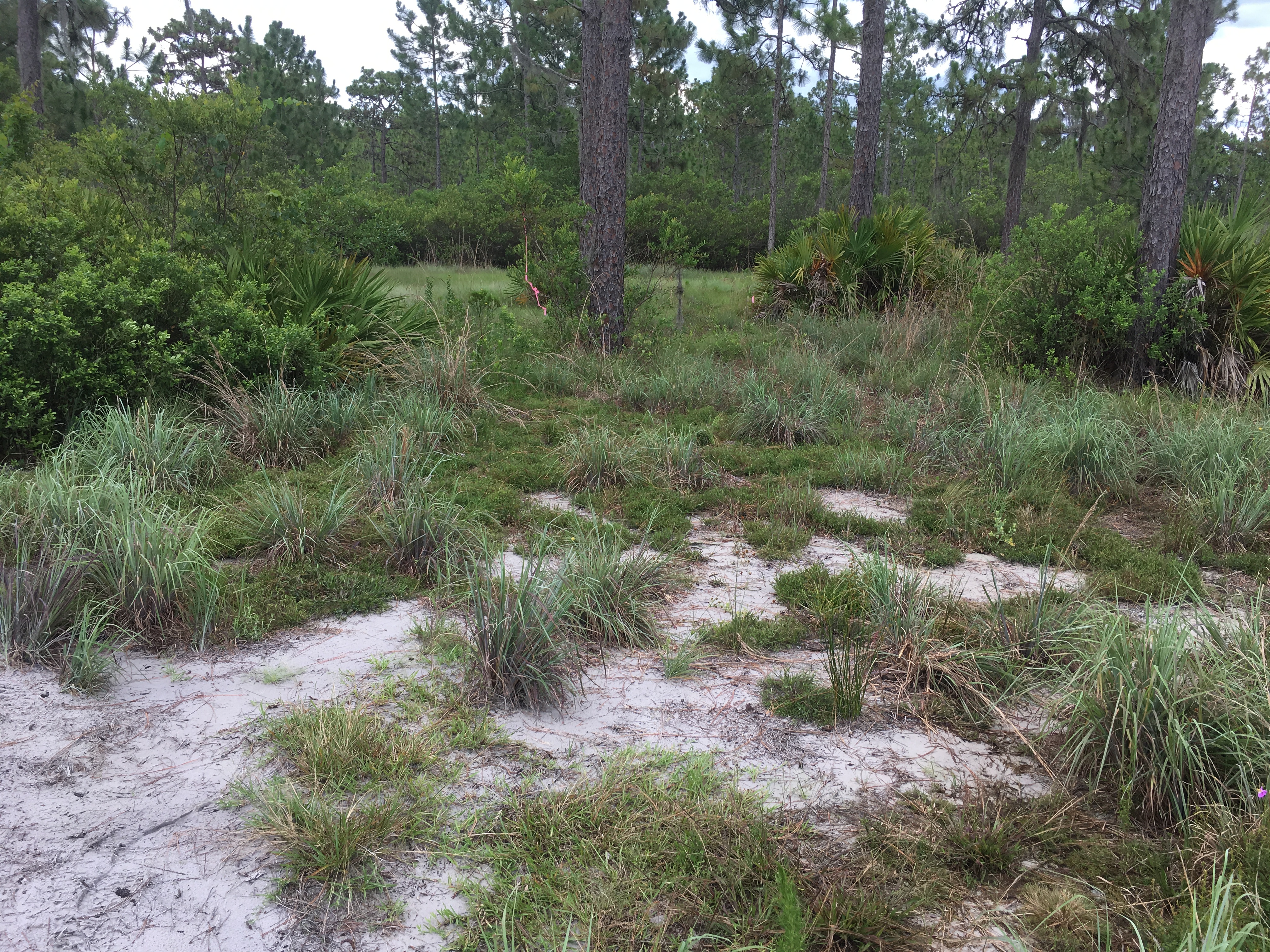 River Ranch Acres RRPOA Camp lot for sale campsite Florida