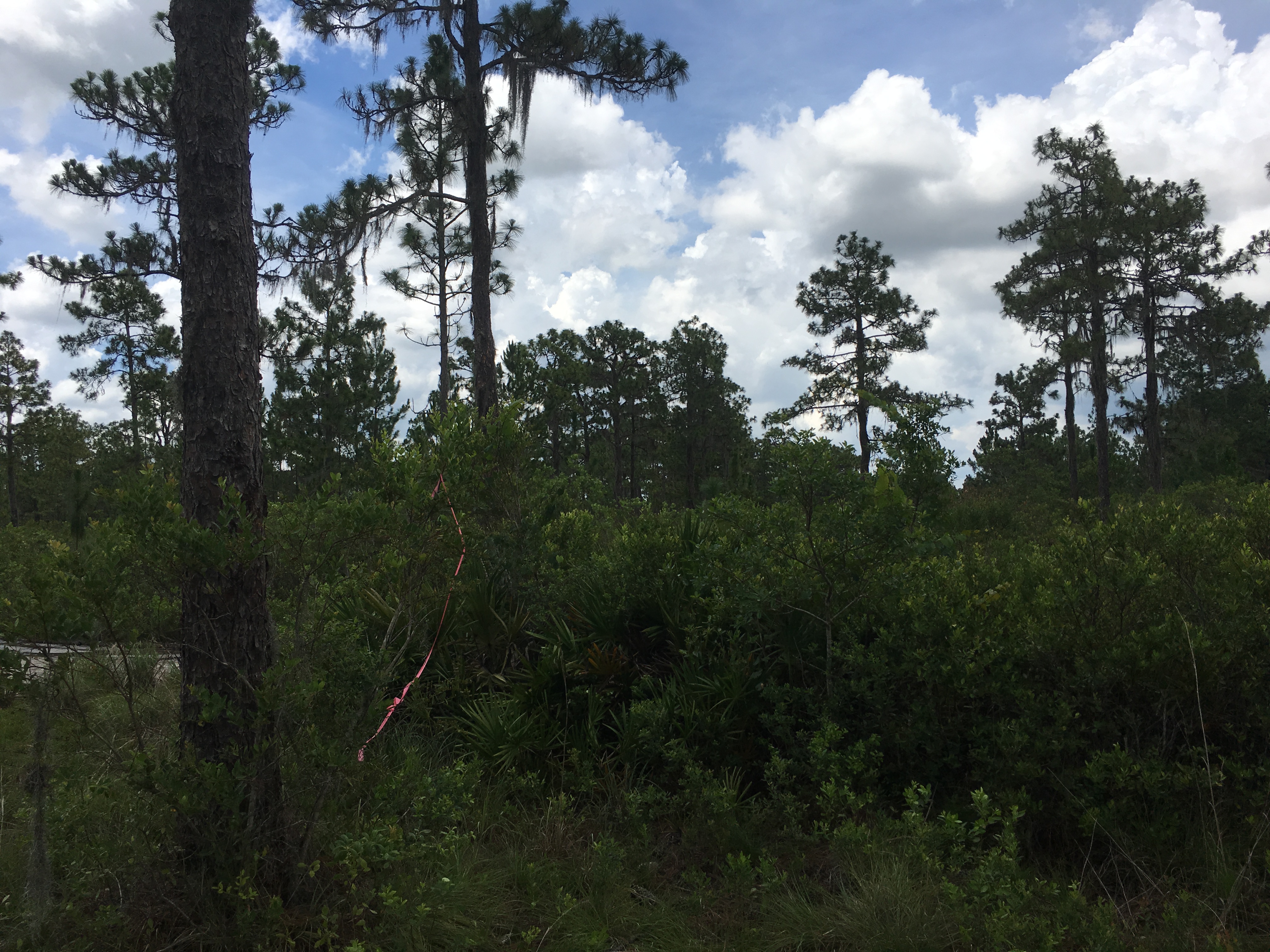 River Ranch Acres RRPOA Camp lot for sale campsite Florida