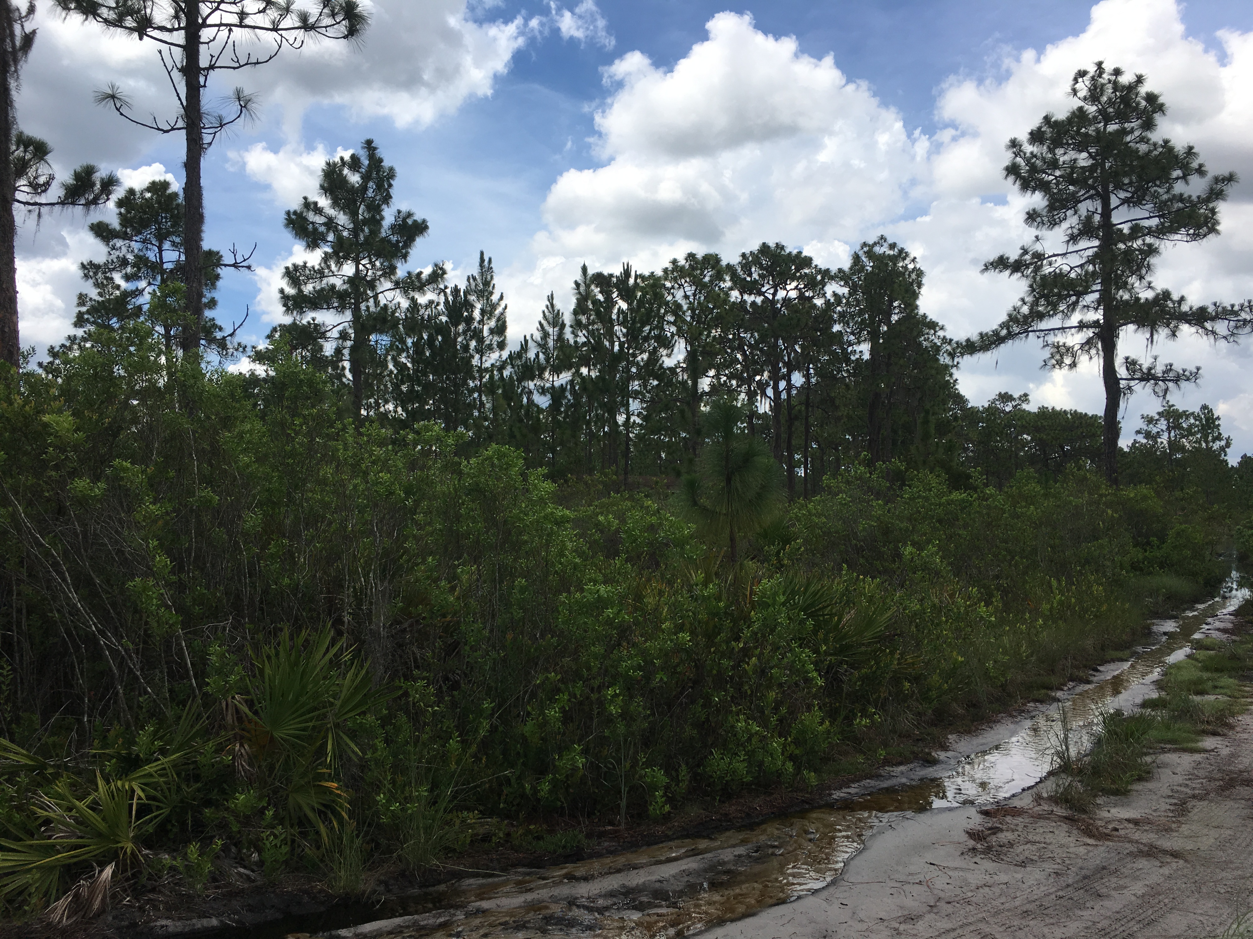 River Ranch Acres RRPOA Camp lot for sale campsite Florida