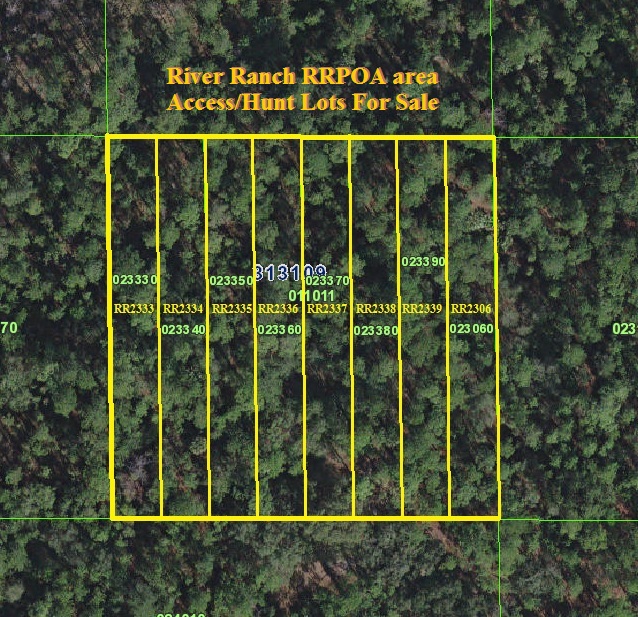 River Ranch Suburban Lots RRPOA area hunt access lot for sale