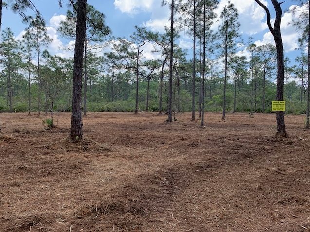 Florida Recreational Land For Sale River Ranch Camp Lot RRPOA Lots