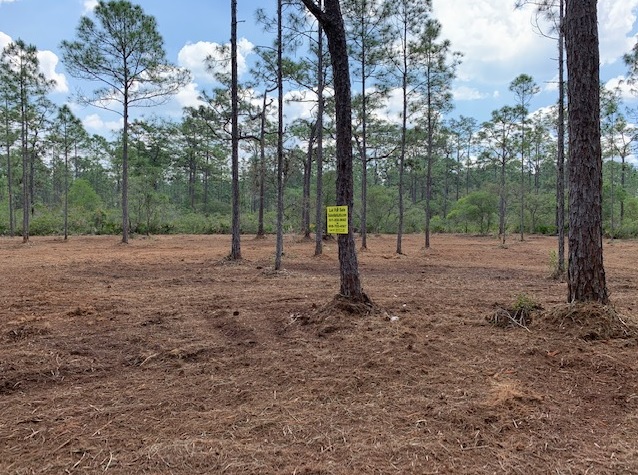 Florida Recreational Land For Sale River Ranch Camp Lot RRPOA Lots