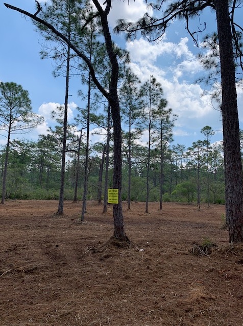 Florida Recreational Land For Sale River Ranch Camp Lot RRPOA Lots