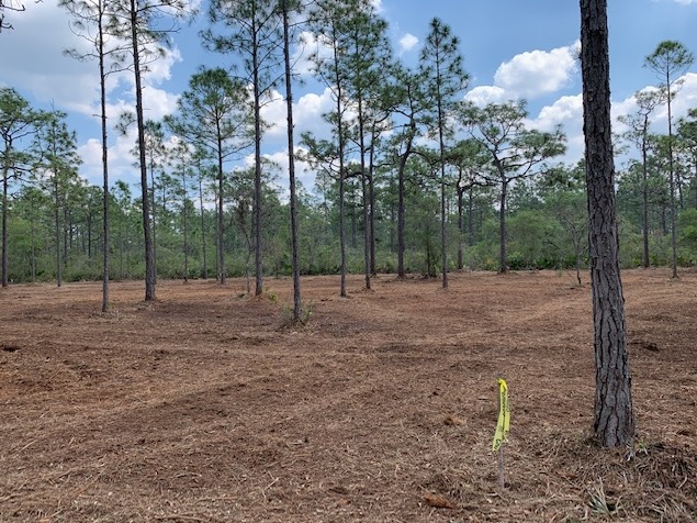 Florida Recreational Land For Sale River Ranch Camp Lot RRPOA Lots