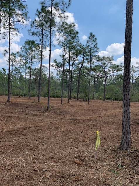 Florida Recreational Land For Sale River Ranch Camp Lot RRPOA Lots