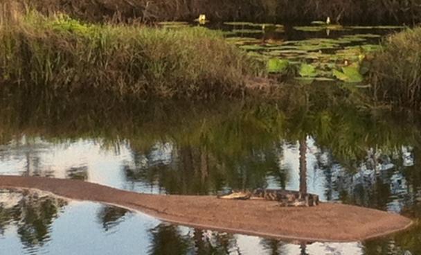 Suburban Estates Holopaw Florida Land for Sale